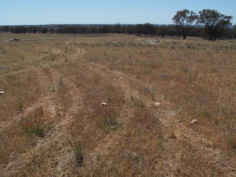 Old Canfields Road, Korong Vale VIC 3520