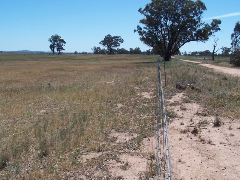 Old Canfields Road, Korong Vale VIC 3520