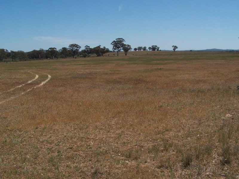 Old Canfields Road, Korong Vale VIC 3520