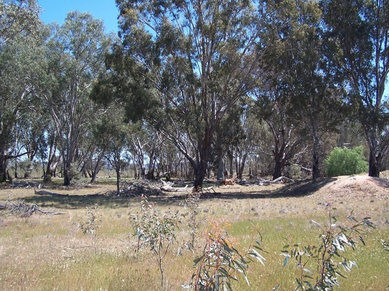 Old Canfields Road, Korong Vale VIC 3520