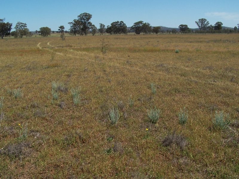 Old Canfields Road, Korong Vale VIC 3520