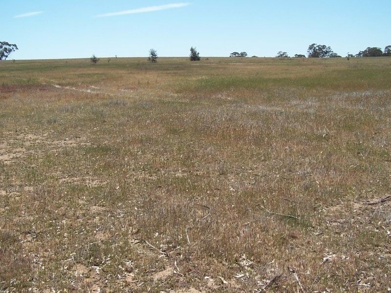 Old Canfields Road, Korong Vale VIC 3520