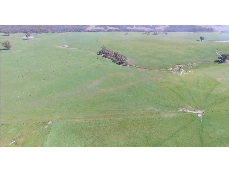 800 BRENANAH – KURTING ROAD, Glenalbyn VIC 3517