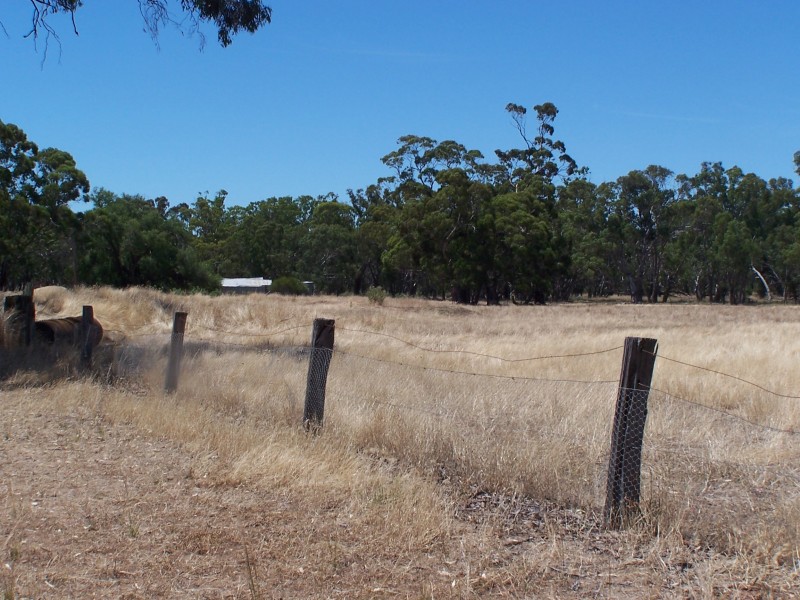 800 BRENANAH – KURTING ROAD, Glenalbyn VIC 3517