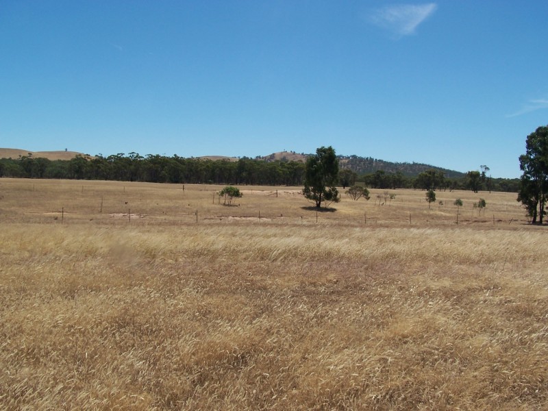 800 BRENANAH – KURTING ROAD, Glenalbyn VIC 3517