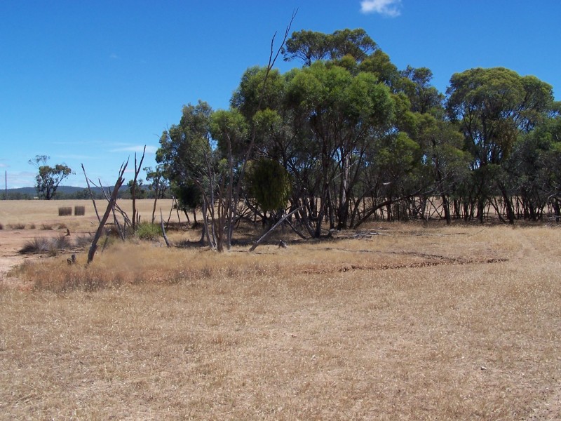 800 BRENANAH – KURTING ROAD, Glenalbyn VIC 3517