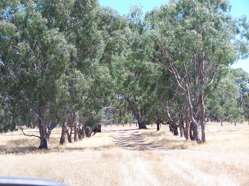 800 BRENANAH – KURTING ROAD, Glenalbyn VIC 3517