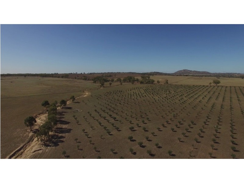 72 KENNEDY ROAD, Fiery Flat VIC 3518