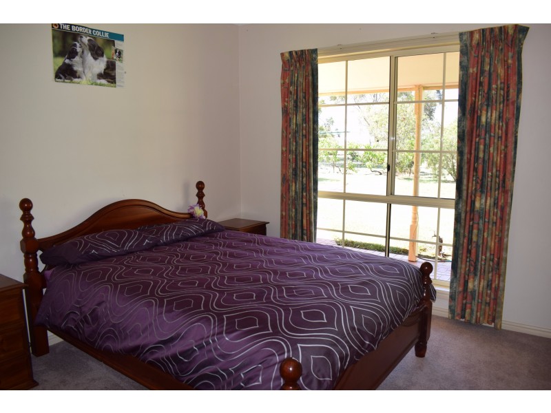 427 Ervins Road, Pyramid Hill VIC 3575