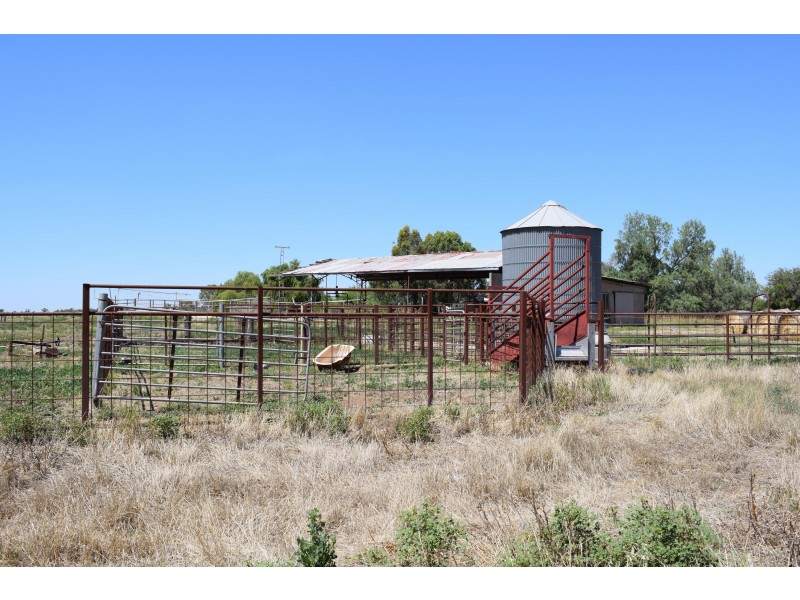 427 Ervins Road, Pyramid Hill VIC 3575