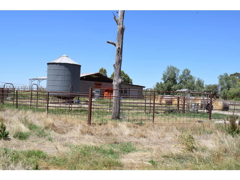 427 Ervins Road, Pyramid Hill VIC 3575