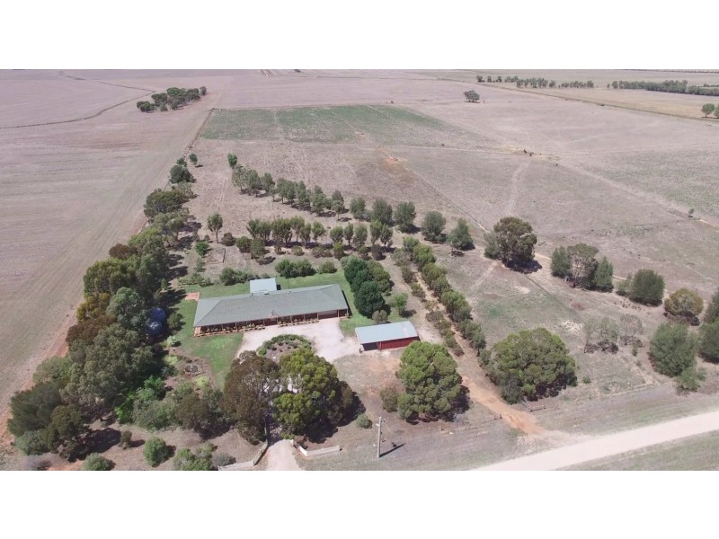 427 Ervins Road, Pyramid Hill VIC 3575