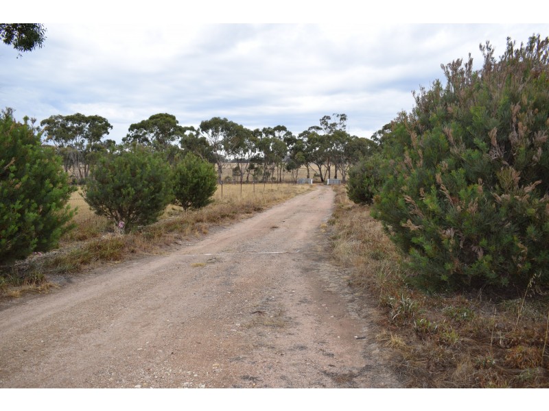 48 Bealiba-Rheola Road, Rheola VIC 3517