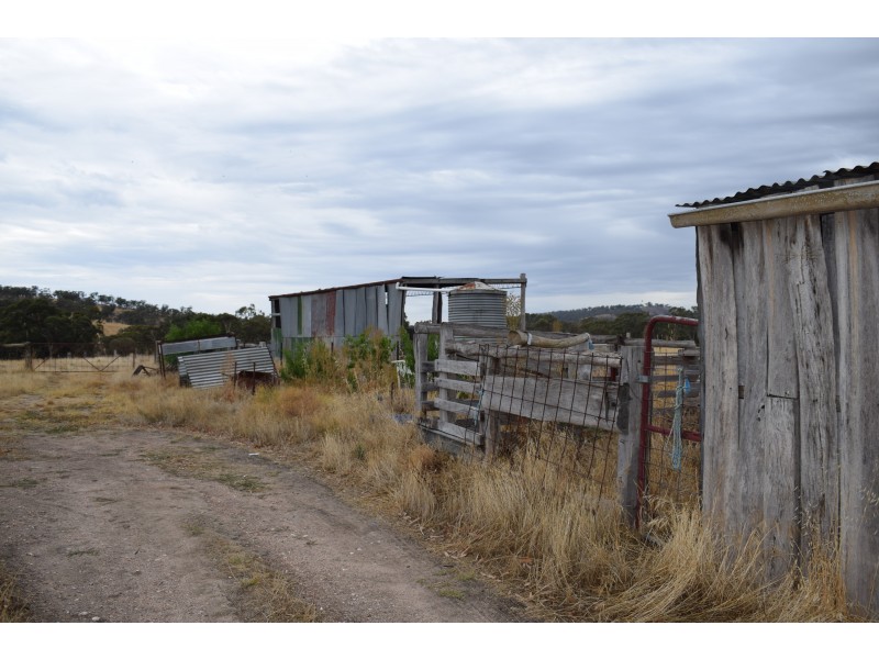 48 Bealiba-Rheola Road, Rheola VIC 3517