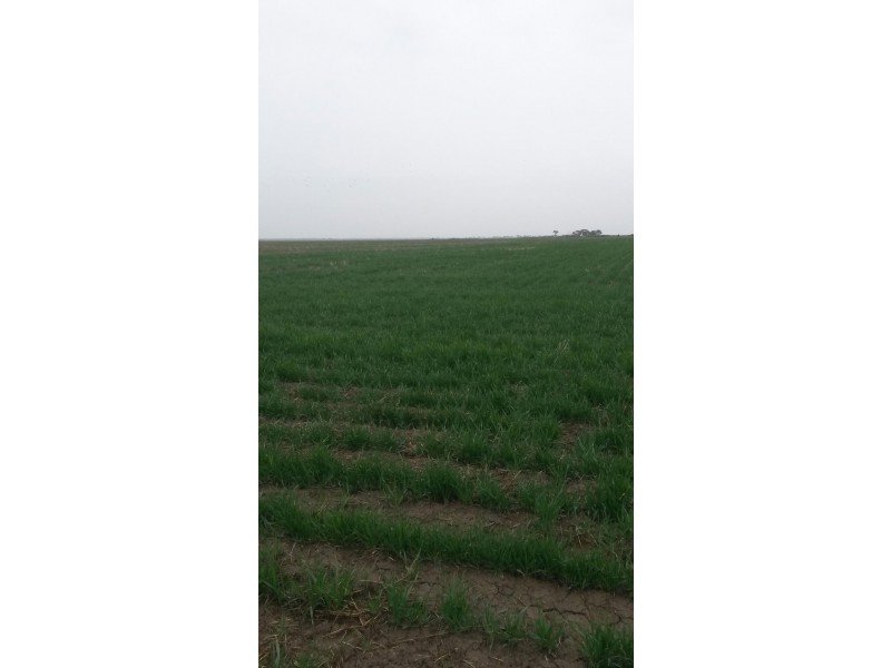 41-43A Canary Island South Road, Durham Ox VIC 3576