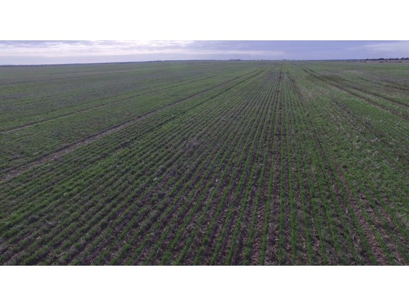 41-43A Canary Island South Road, Durham Ox VIC 3576