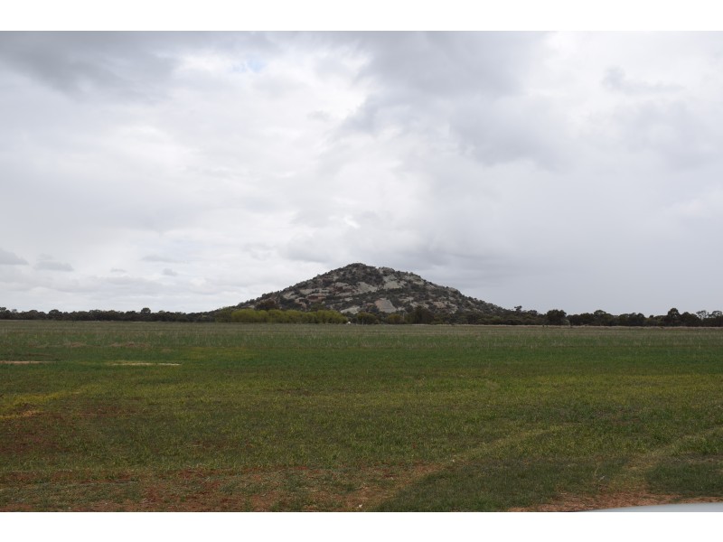 15 Oneil Street, Pyramid Hill VIC 3575