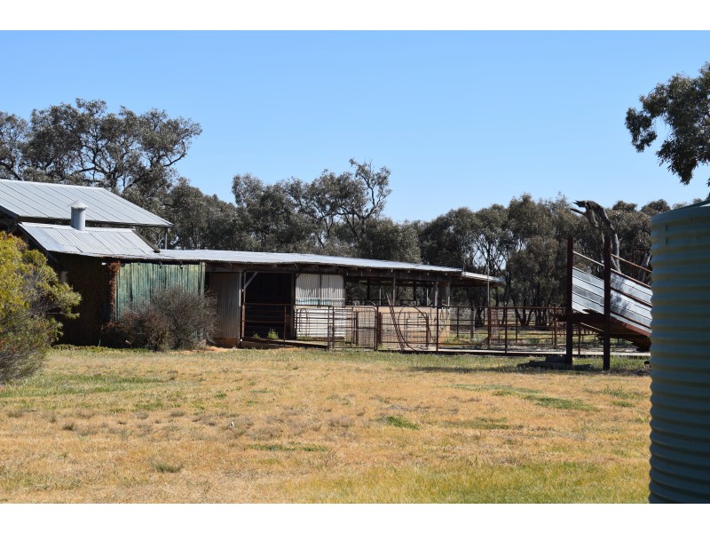 1501 Boort-Mitiamo Road, Calivil VIC 3573