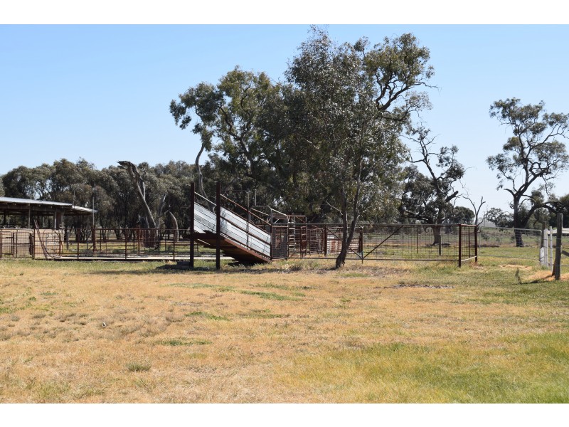 1501 Boort-Mitiamo Road, Calivil VIC 3573