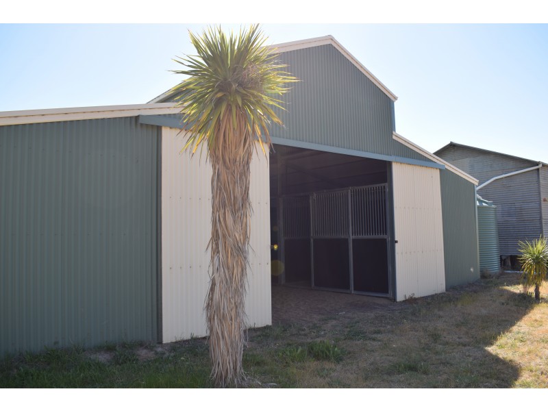 1501 Boort-Mitiamo Road, Calivil VIC 3573