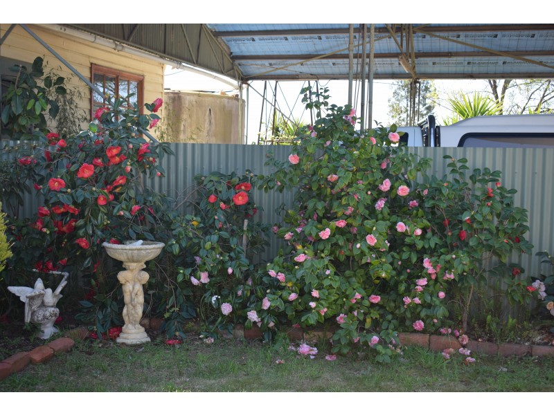 1501 Boort-Mitiamo Road, Calivil VIC 3573