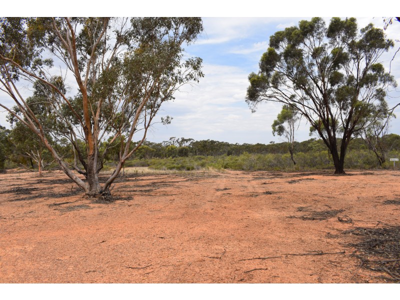 Inglewood-Salisbury Road, Inglewood VIC 3517