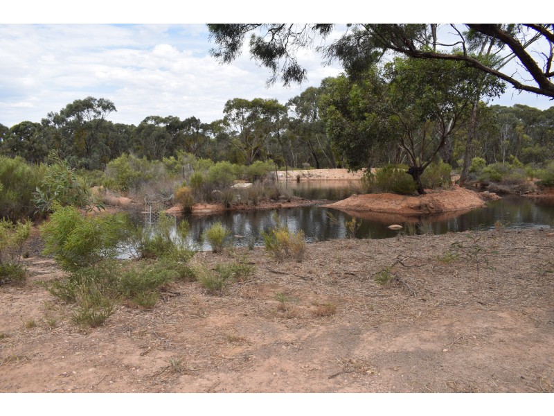 Inglewood-Salisbury Road, Inglewood VIC 3517