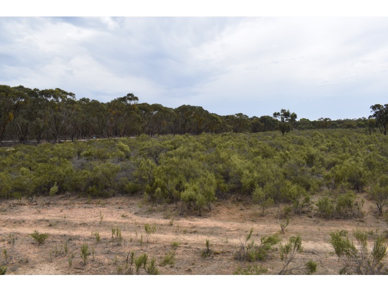 Inglewood-Salisbury Road, Inglewood VIC 3517