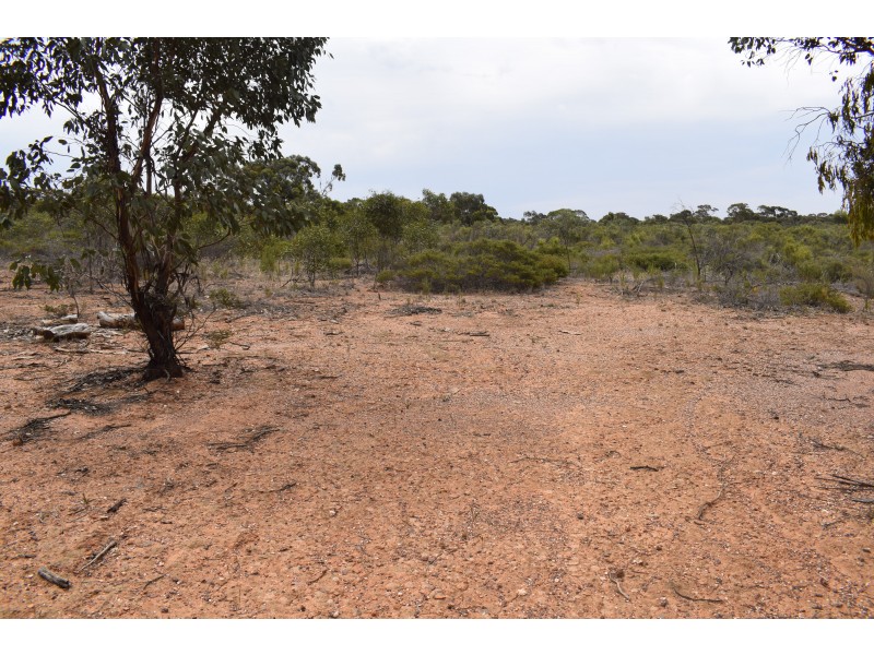 Inglewood-Salisbury Road, Inglewood VIC 3517