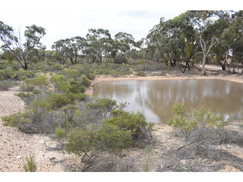 Inglewood-Salisbury Road, Inglewood VIC 3517