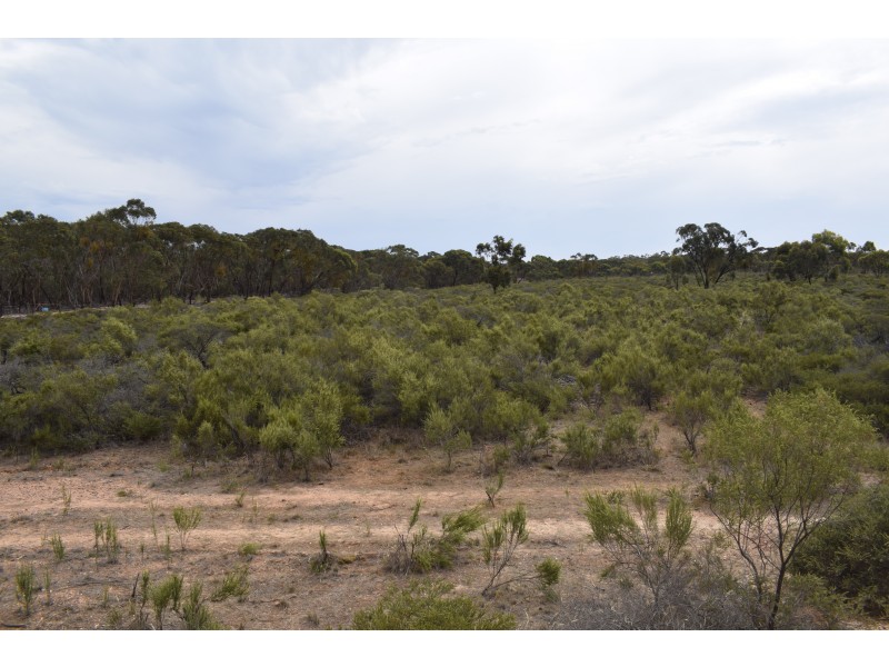 Inglewood-Salisbury Road, Inglewood VIC 3517