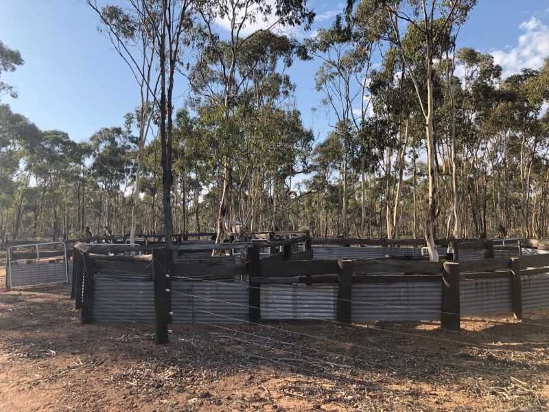 42 Burkes Flat-Wehla Road, Burkes Flat VIC 3475