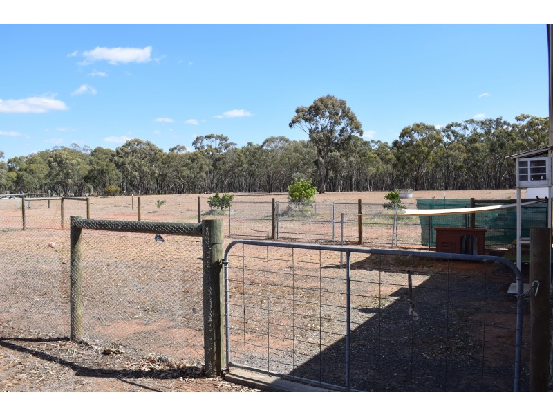 243 Wet Lane, Inglewood VIC 3517