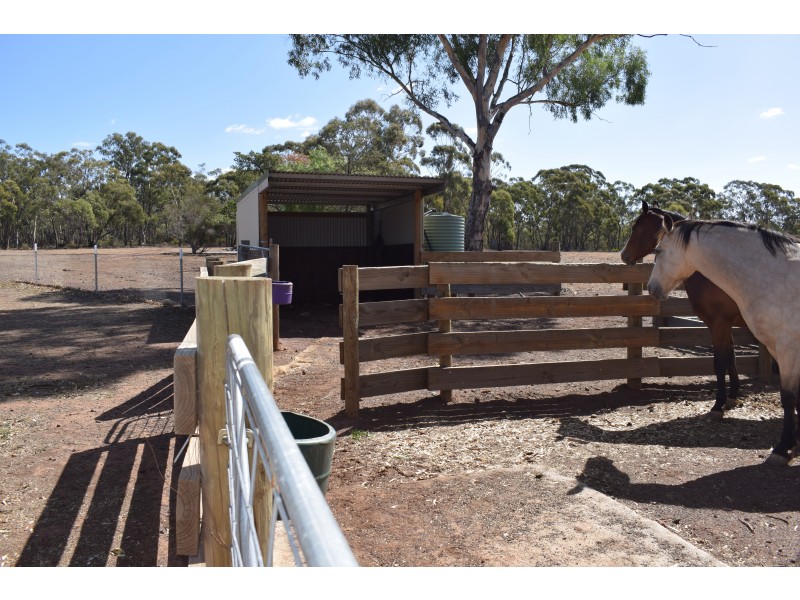 243 Wet Lane, Inglewood VIC 3517