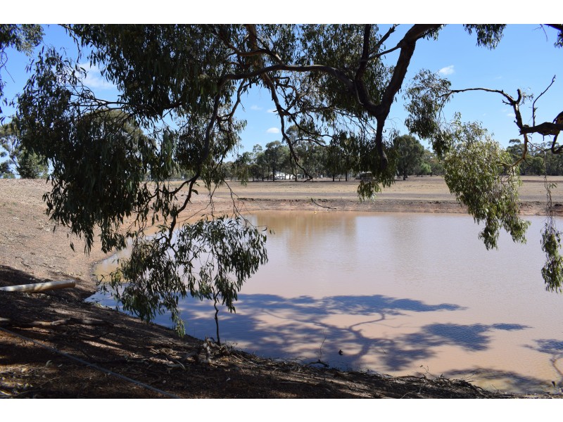 243 Wet Lane, Inglewood VIC 3517