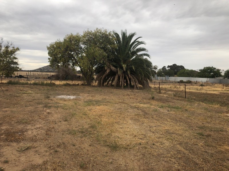 46 Kelly Street, Pyramid Hill VIC 3575