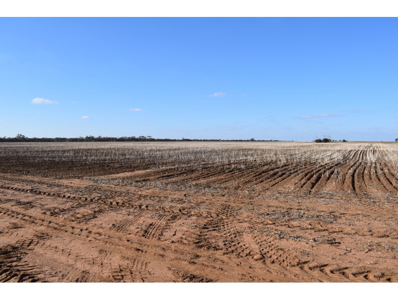 Meering West VIC 3579