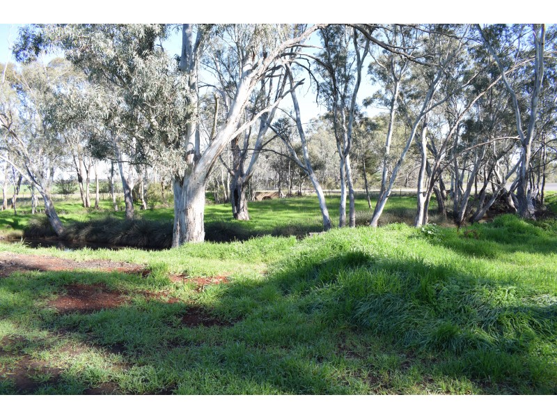 333 Rheola-Arnold Road, Arnold VIC 3551