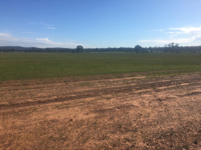 Lot 36,  Wet Lane, Inglewood VIC 3517