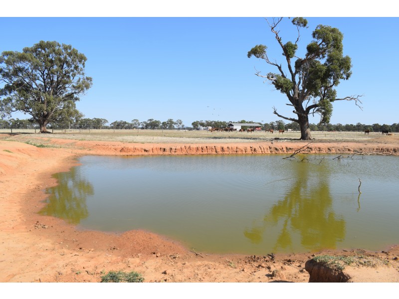 CA 5 BRIDGEWATER-DUNOLLY ROAD, Bridgewater VIC 3516