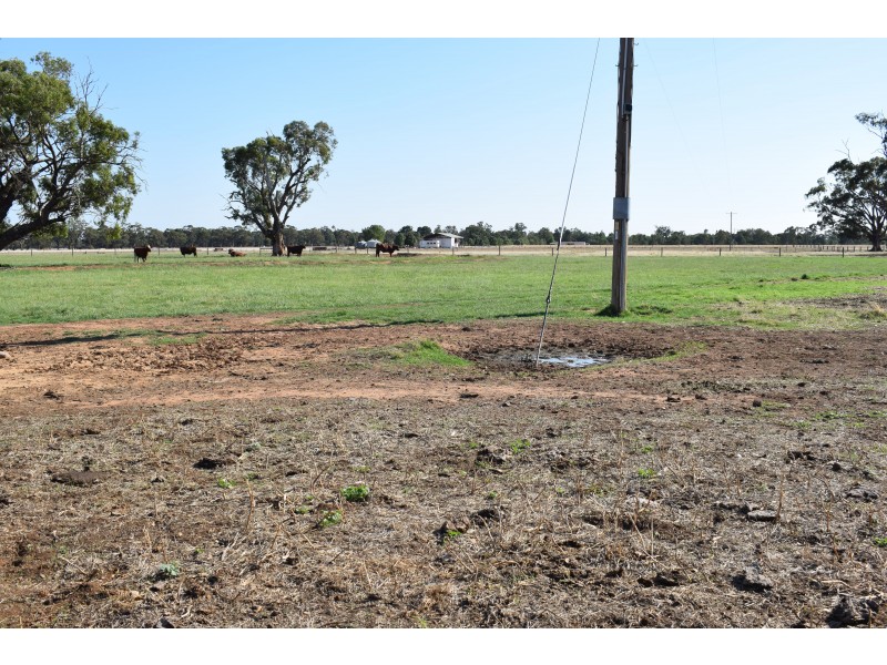 CA 5 BRIDGEWATER-DUNOLLY ROAD, Bridgewater VIC 3516