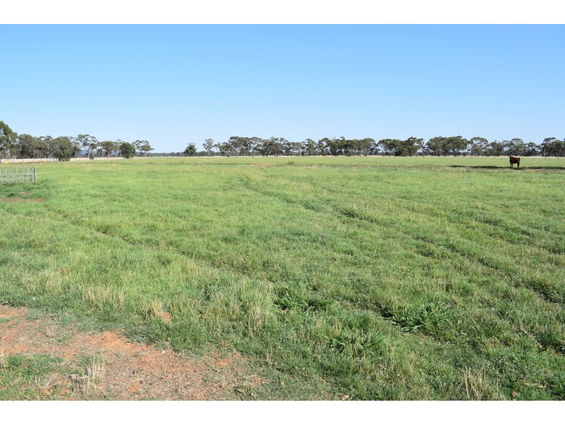 CA 5 BRIDGEWATER-DUNOLLY ROAD, Bridgewater VIC 3516