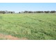 CA 5 BRIDGEWATER-DUNOLLY ROAD, Bridgewater VIC 3516