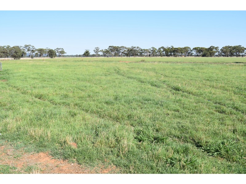 CA 5 BRIDGEWATER-DUNOLLY ROAD, Bridgewater VIC 3516