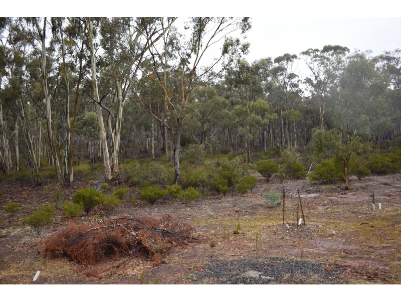 151 Halls Road, Kingower VIC 3517