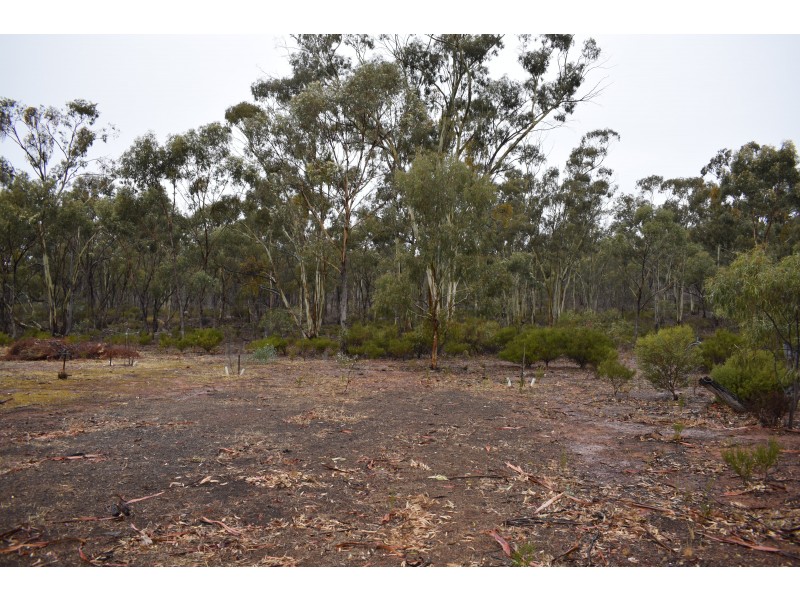 151 Halls Road, Kingower VIC 3517