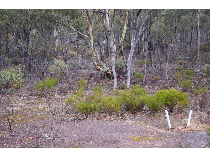 151 Halls Road, Kingower VIC 3517