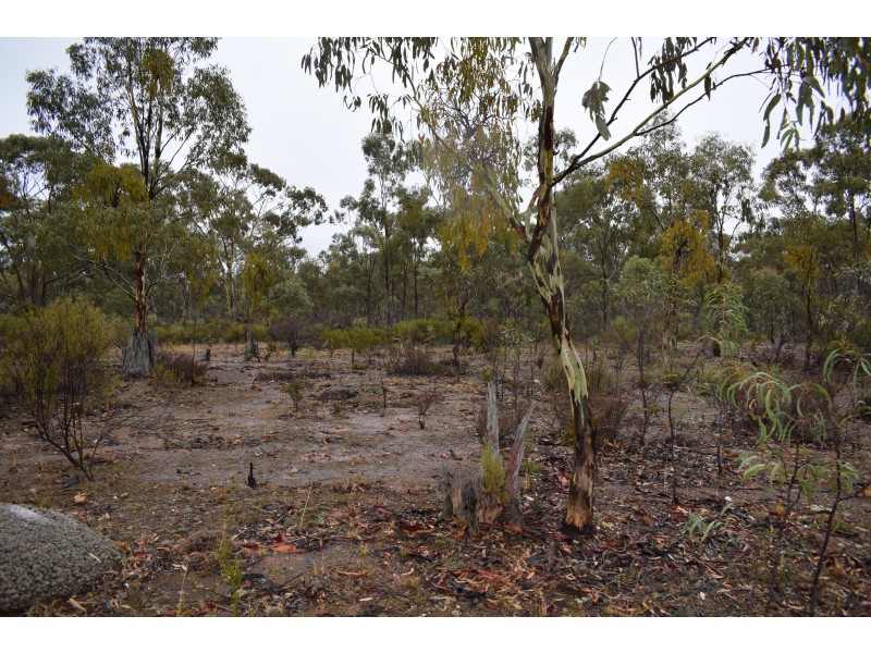 151 Halls Road, Kingower VIC 3517