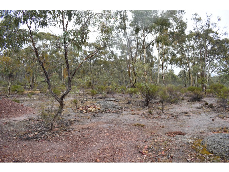 151 Halls Road, Kingower VIC 3517