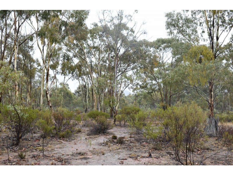 151 Halls Road, Kingower VIC 3517